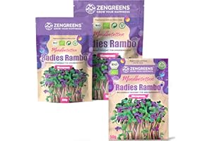 ZenGreens® - Bio Radieschen Sprossen Samen - Wähle zwischen 10g, 200g und 500g - Radieschen Bio Saatgut - Keimrate von >96% - China Rose - Rosa Rettich - Keimsprossen Samen - Microgreens