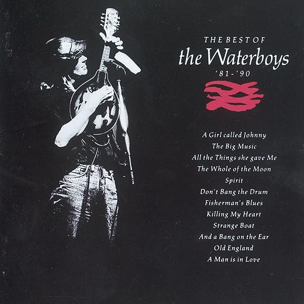 洋楽 THE WATERBOYS / 1985 (Deluxe Edition) 1985: Deluxe Edition (6CD＋Book)【完全生産限定盤