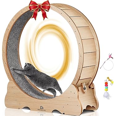 edelstahl katzentoilette XXL Edelstahl Katzenklo Lotte main image 0