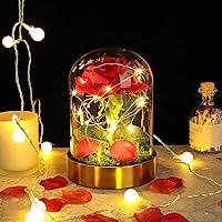 E-MANIS Enchanted Red Silk Rose Licht,Schönheit und das Biest Rose mit gefallenen Blütenblättern und Moos in Glaskuppel…