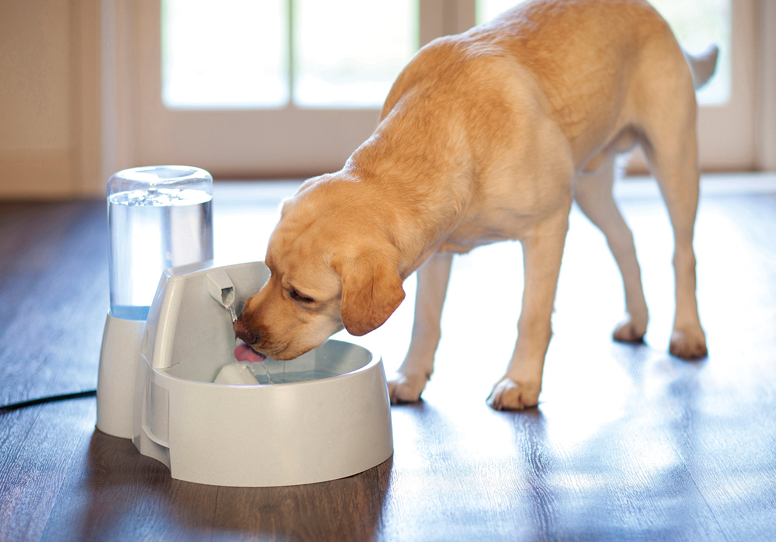 PetSafe Drinkwell 8.5 Litre, Big Dog Pet Fountain, Automatic Pet
