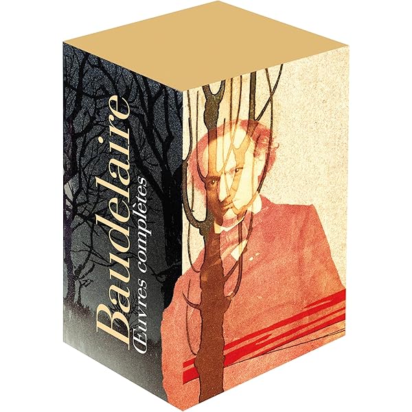 Baudelaire Oeuvres Complètes 2巻セット Amazon.fr - Œuvres complètes I, II - Baudelaire, Charles
