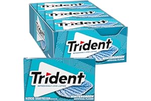 Trident Wintergreen Gomme à mâcher sans sucre au xylitol 14 bâtonnets 39 g