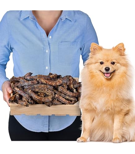 Gedroogde hondensnacks kopen die jouw hond niet kan weerstaan