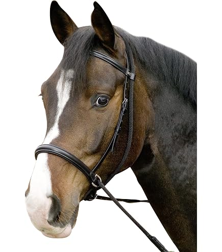 QHP KAPPZAUM LEDER Braun | De Kroo Reitsport
