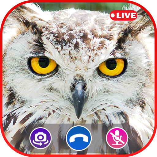 Call Video Owl Simulator Prank Call Apps Amazon De Apps Fur Android