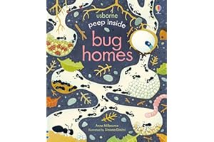 Peep Inside Bug Homes