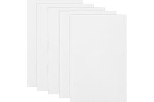 Ptwola 5 Pieces 0.5mm Fursuit Eyes Mesh White Eye Mesh Sheet Waterproof Printable Fursuit Meshs PVC Meshs Fabric for Mask Furry Cosplay Props Craft Fursuits Handicrafts Sculpting Making