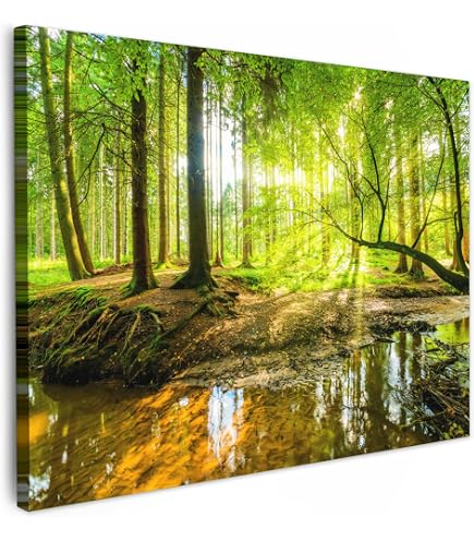 Tableau Décoratif Style Campagne - Forêt Et Lac D'automne - Impression Sur Toile Tendue Sur Châssis - Neuf