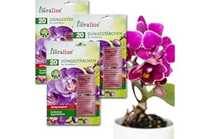 floraline® | 60 x pałeczki nawozowe do storczyków | nawóz do storczyków do 100 dni (na pałeczkę), wspaniałe kwiaty o wzroście i zdrowych kwiatach, delikatne stosowanie