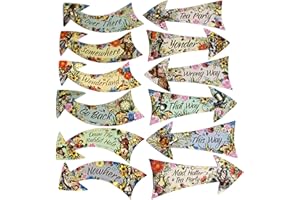 ASVP Shop Alice in Wonderland Party Vintage Style Arrow Signs/Mad Hatters Tea Party Props Pack of 12 Signs