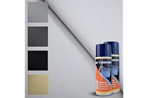 TENDAGGIMANIA Ciel de Toit Voiture Nid d'abeille Kit Tissu + Colle Spray, Ciel Toit Auto Couleur Glace 1450 -Taille 2,5 MT X 1,5 MT + 2 Colle