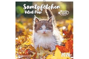 ‎ALPHA EDITION Alpha Edition - Samtpfötchen Kalender 2026 – Wandkalender & Bildkalender 30x30 cm (30x60 cm geöffnet) mit süßen Katzenmotiven, inkl. Poster, für Katzenliebhaber & Tierfreunde: Velvet paw