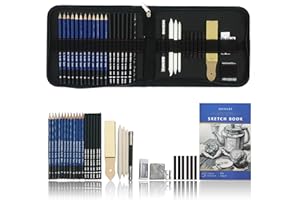 TVFLY Set Artistico Di Matite Da Disegno e Da Schizzo di 36 Pezzi - Kit Artistico Con Matite di Grafite, Matite a Carboncino, Matita di Grafite Senza Legno, Carboncini, Temperamatite e Gomme