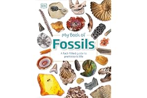 My Book of Fossils: A fact-filled guide to prehistoric life