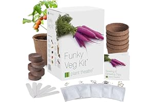 Plant Theatre Vegetable Seeds - Funky Veg Kit con 5 sobres de semillas (zanahoria, calabacín, coles de Bruselas, acelgas y semillas de tomate), macetas, discos de turba y marcadores - Kits de cultivo para interiores y exteriores - Regalos de jardinería para hombres y mujeres