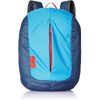 Footloose by Skybags 26 cms Teal Polyester Casual Backpack (Ocelot)