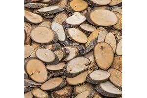 Baker Ross Rondelles de Rondins de Bois Naturel (Paquet de 450), AF918