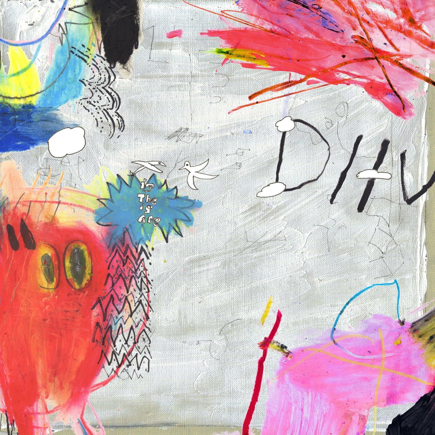 DIIV, Frog In Boiling Water (Edición Deluxe Blanco) [Vinilo] - Analyse des détails et conception