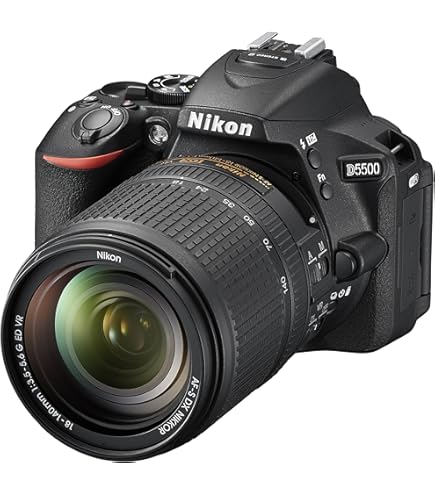 Nikon D5300 appareil photo reflex numérique, 24,1 mégapixels, SD 8