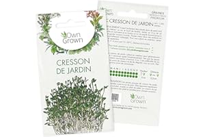 Graines de cresson de jardin (Lepidium sativum), semences de cresson de jardin cultivé OwnGrown, Semis pour environ 1500 plantes