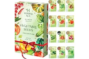 HERBAL AGE Grow Your Own Kits - 12 Vegetable Plants Seed Box: Courgette, Chilli, Tomato Seeds, 5100 Vegetable Seeds for Planting UK - Unusual Gardening Gifts for Women & Garden Gifts for Men, Allotment Gifts