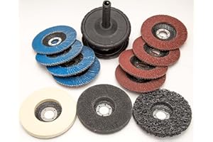 EISENWOLF Lot de 11 disques à lamelles et de polissage de 125 x 22,23 mm. 1 disque de nettoyage grossier, 1 disque de polissage en feutre de laine, 1 éponge de polissage, 4 disques à lamelles AO, 4 disques à