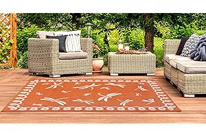 Lord of Rugs Terrace Dragonfly Outdoor Rug for Garden, Patio, Living Room, Indoor, Kitchen, Balcony, Picnic, Bedroom Bordered Lightweight Mat Flatweave Rug Terracotta Small 80x150 cm (2'6"x5')