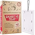 Pestmatic Codling Moth Trapx3, Codling fruit moth monitoring trap, Garden control for fruit trees, Pheromone trap that is safe for birds and pollinators,Apple natural protection,Outdoor insect catcher