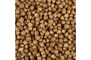 TEICHPOINT All Season Koifutter 6mm - schwimmendes Ganzjahres Futter für Koi und Teichfische für ausgewogene Fisch-Ernährung mit Fischöl, Astaxanthin (13,5 kg)