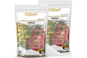 GiDeli Kaliumfosfat MKP 2 x 1 kg - kristallint, vattenlösligt PK-gödsel | Bladgödsel och markgödsel för blomning och fruktsättning, löses helt utan rester, för grönsaker och fruktträd
