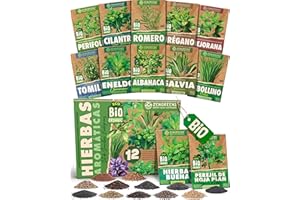 ZenGreens - Organic herb seed set - 12 varieties for easy cultivation in the garden, balcony or raised bed - Aromatic plants - Vegetable seeds