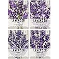 , Lavender Herb Seed Packet Collection (4 Varieties of Lavender Seeds for Planting) Heirloom, Non-GMO & Untreated