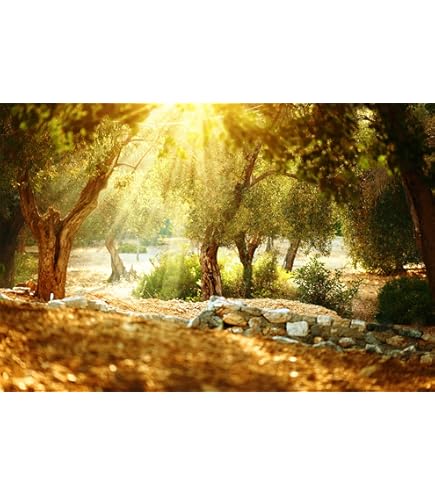 Purple Wisteria Floral Arch Digital Background, Fine Art Photography Backdrop, Summer Garden Path, Creative Composite, Photoshop Overlay