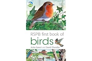 RSPB First Book Of Birds