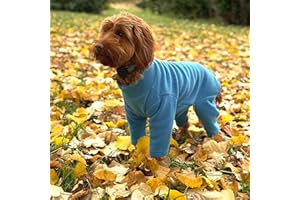 PET WIZ Warm Four-Legged Dog Fleece – Super Soft, Weather-Resistant (Teal, Medium)