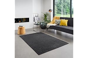 ‎CARPET STUDIO Carpet Studio Santa Fe Teppich Schwarz, Teppich Wohnzimmer 115x170 cm, Kurzflor Teppiche, Wohnzimmerteppich, Teppich Schlafzimmer