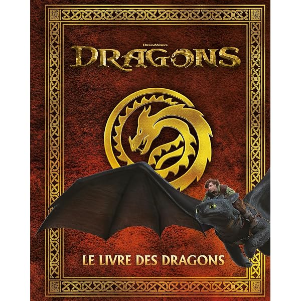 T-shirt Enfant Dragons Dreamworks – Motif Krokmou Griffe – Noir Taille 140/146 - 2
