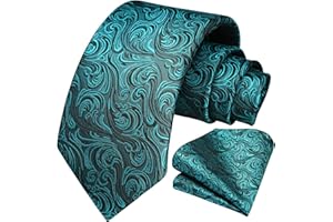 HISDERN Cravatte uomo Paisley Floreale Cravatta Fazzoletto Set Matrimonio Cravatte da uomo & Pocket Square