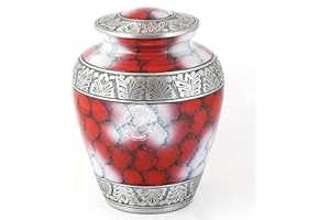 Hind Handicrafts Silver Engraved Adult Cremation Urn for Human Ashes - Handcrafted Funeral Memorial Ashes Urn - Large Burial Urn - Bag Included (7.5" x 7.5" x 9.5"- 200lbs or 91kg, Cloud Red)