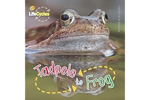 Tadpole to Frog (Lifecycles)