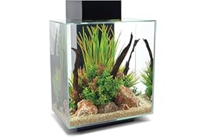 Fluval Edge 2.0 Aquarium Noir 46 l