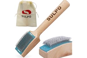 SULPO Spazzola per scarpe da ballo con suola in pelle cromata - Spazzola per pulire la suola in pelle delle scarpe da ballo - Spazzola per scarpe da ballo in legno e con custodia (1)