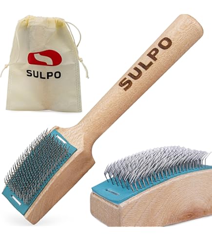 SULPO Dance Shoe Brush With Chrome Leather Sole - Brush For Roughening The Leather Sole Of Dance Shoes - Wooden Dance Shoe Brush With Case (2