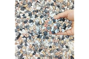 FANTIAN 4 lbs Succulent and Cactus Pebbles for Indoor Plants, 3/8 Inch Pea Gravel Decorative River Rocks for Plants, Vases, Terrarium, Aquarium, Potted Top Dressing and Outdoor Landscaping Stones