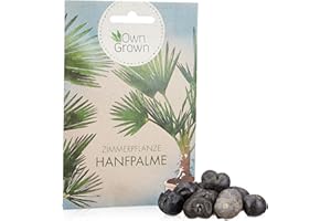 Chinesische Hanfpalme Saatgut: Palmen Samen für 5x Palme Zimmerpflanze – Winterharte Zimmerpflanzen groß – Grünpflanzen Zimmerpflanzen Samen OwnGrown