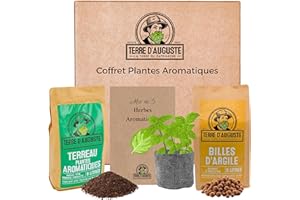 TERRE D'AUGUSTE LA TERRE DU PATRIARCHE DEPUIS 1920 Terre d'Auguste – Coffret Plantes Aromatiques, Kit Graines à Planter, Graine Aromatique à Planter, Cadeau Ecolo pour Véritable Potager Urbain, Inclut Menthe, Basilic, Ciboulette, Thym, Persil