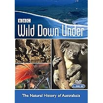 (未使用･未開封品)Nature Tracks: Wild Africa: Season 1 [DVD] Wild Africa (TV Mini Series 2001– ) - IMDb