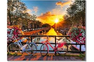 Bougimal Pintar por Numeros Adultos, DIY Pintura por números con Pinceles y Pinturas Decoraciones para el Hogar sin Marco de 40 X 50 cm