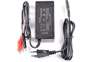AFTERTECH 12 V (14,6 V) 5A batteriladdare för LIFEPO4 LITIO JÄRN FOSFAT STARGER M7E1 LADDARE